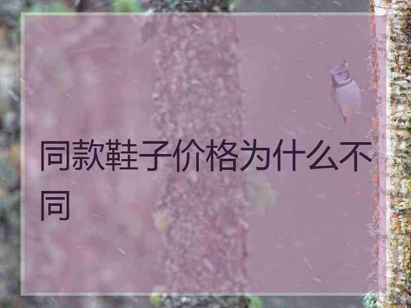 同款鞋子价格为什么不同