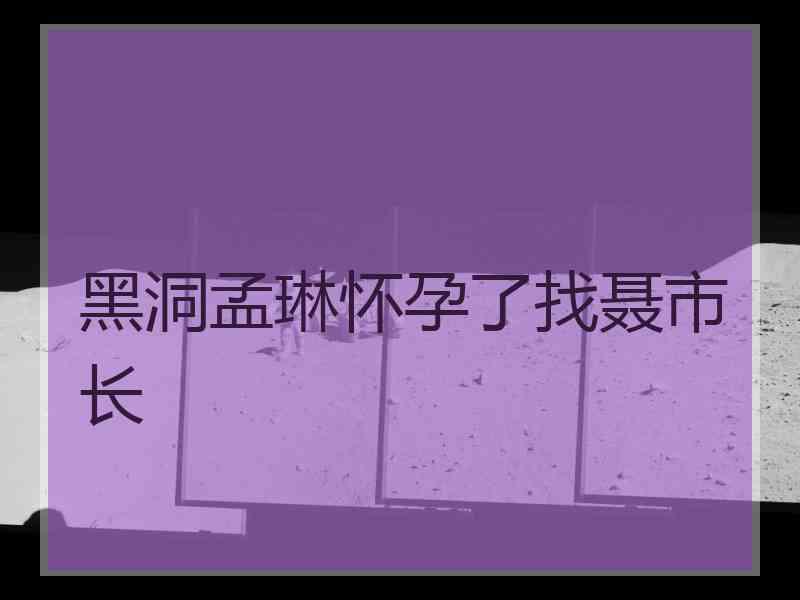 黑洞孟琳怀孕了找聂市长