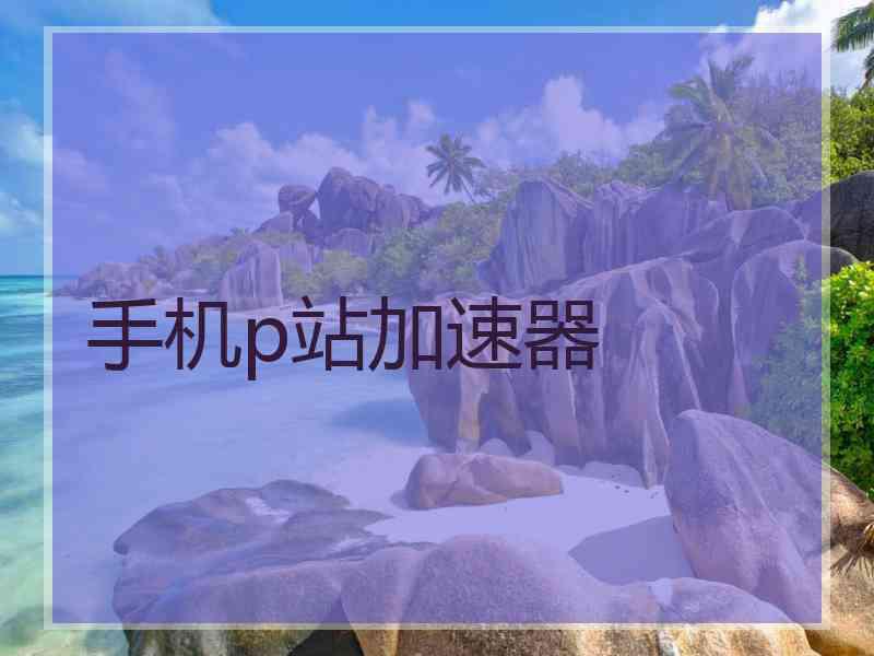 手机p站加速器