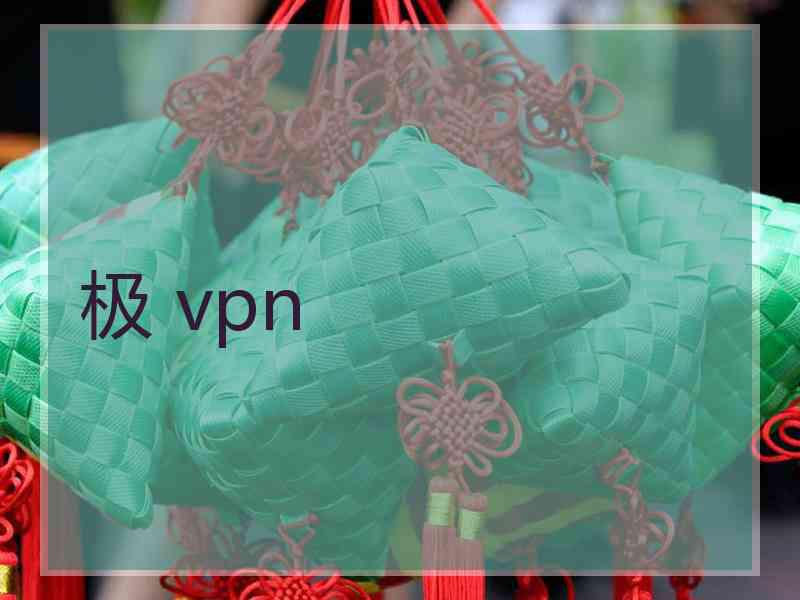 极 vpn