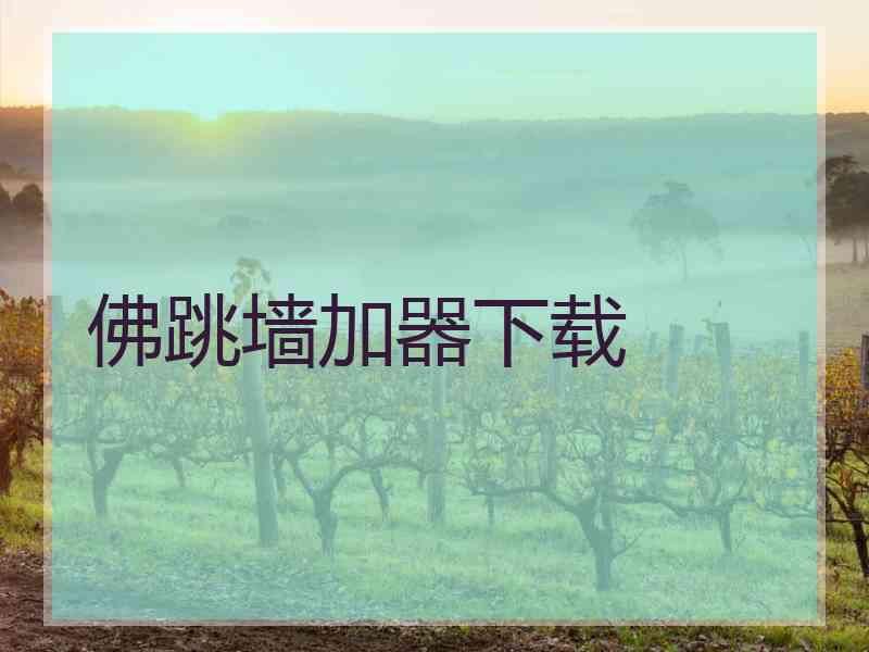 佛跳墙加器下载