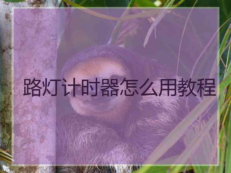 路灯计时器怎么用教程