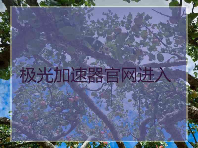 极光加速器官网进入