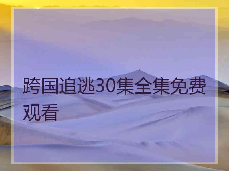 跨国追逃30集全集免费观看