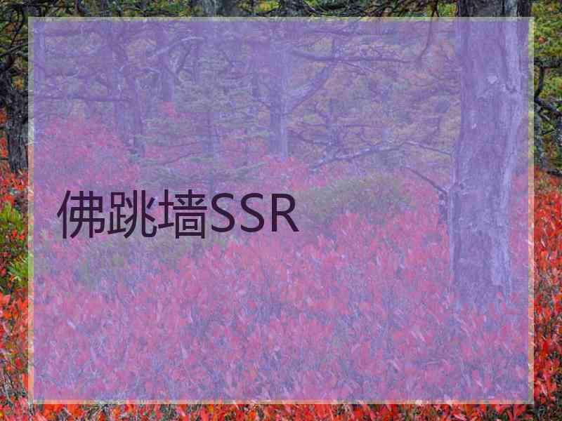 佛跳墙SSR