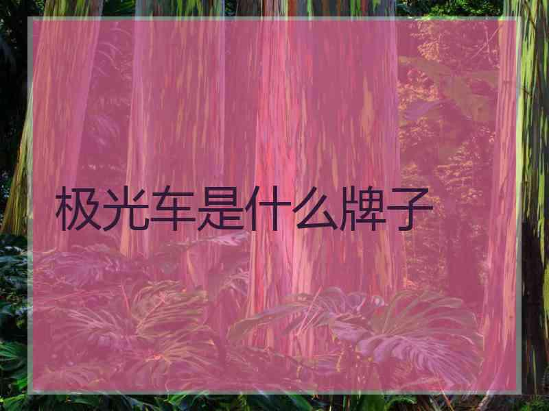 极光车是什么牌子