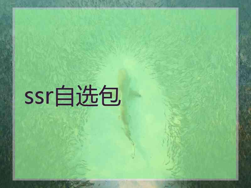 ssr自选包