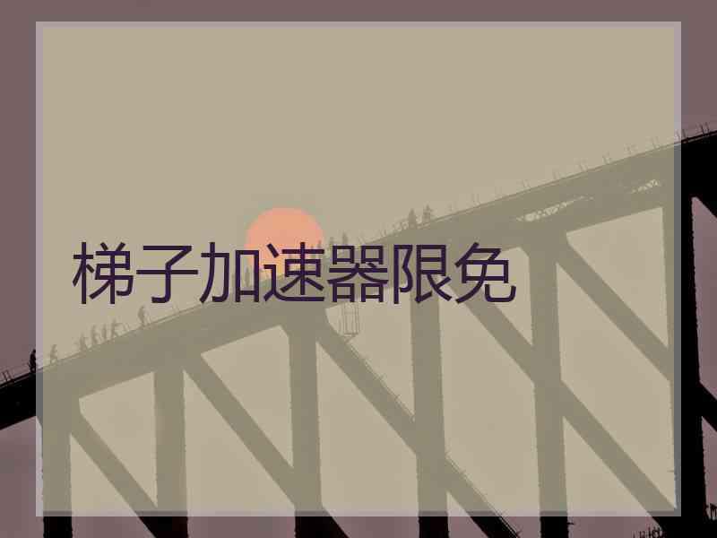 梯子加速器限免