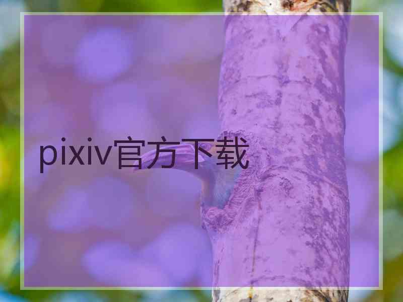 pixiv官方下载