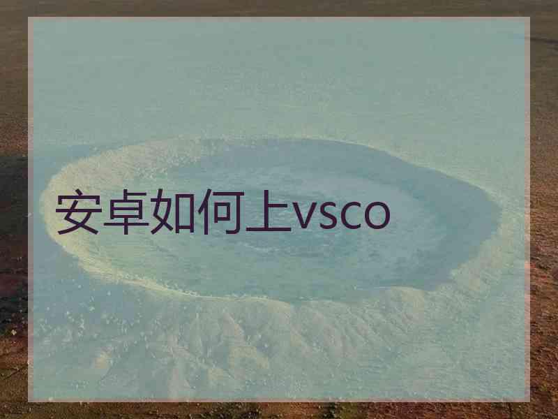 安卓如何上vsco