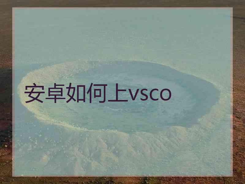 安卓如何上vsco