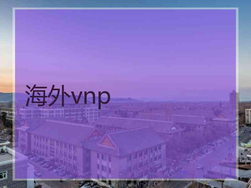 海外vnp