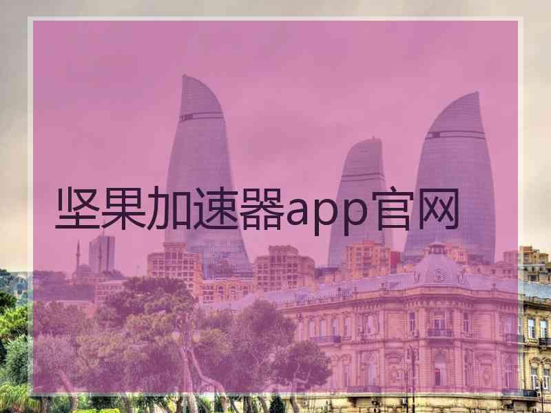 坚果加速器app官网