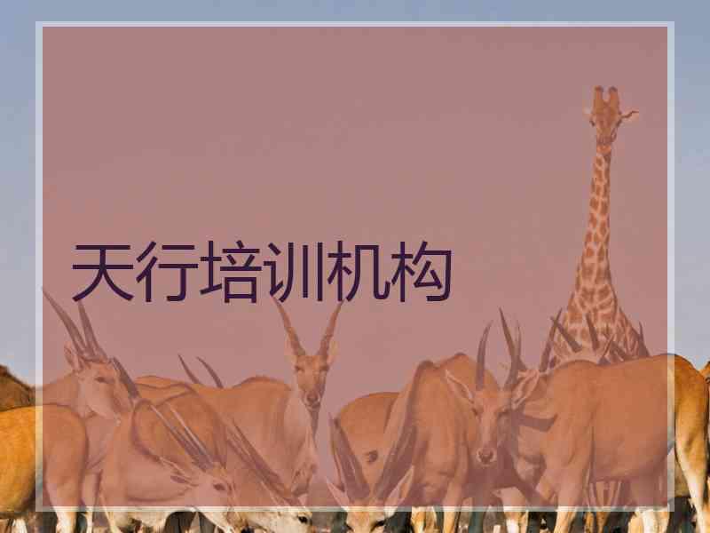 天行培训机构