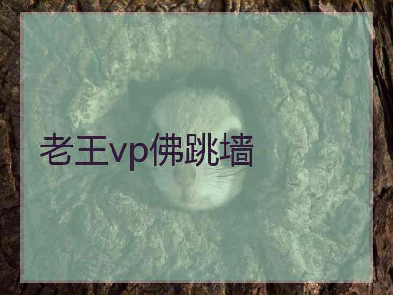 老王vp佛跳墙