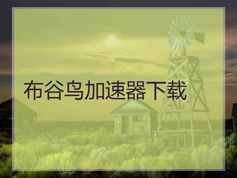 布谷鸟加速器下载