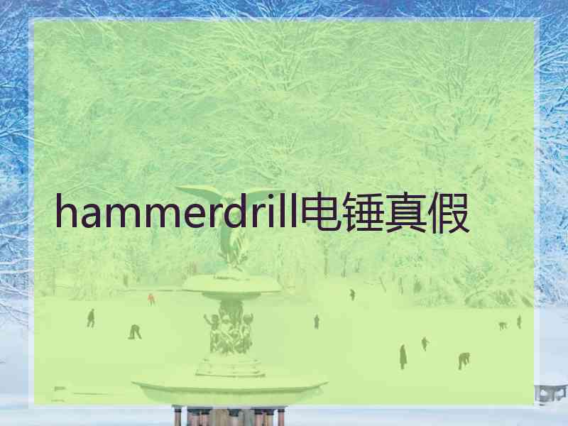 hammerdrill电锤真假