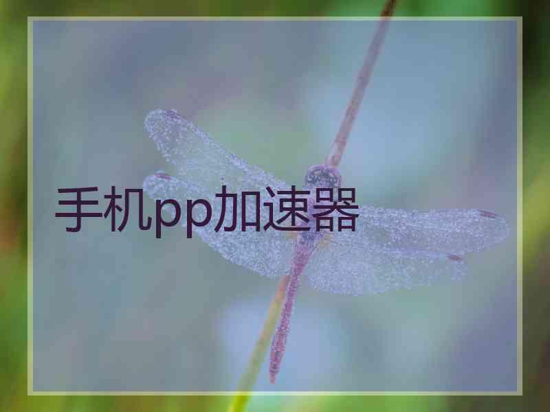 手机pp加速器
