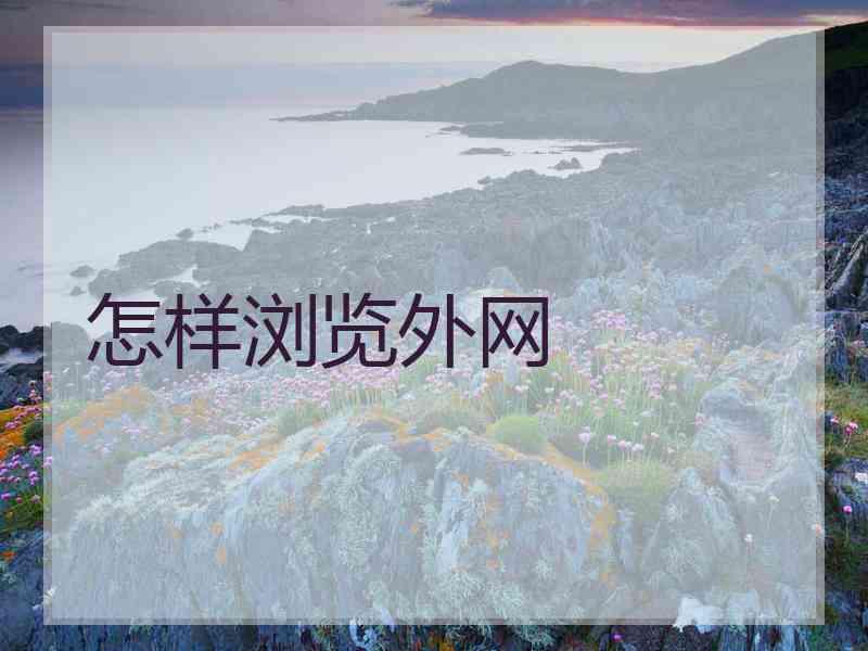 怎样浏览外网