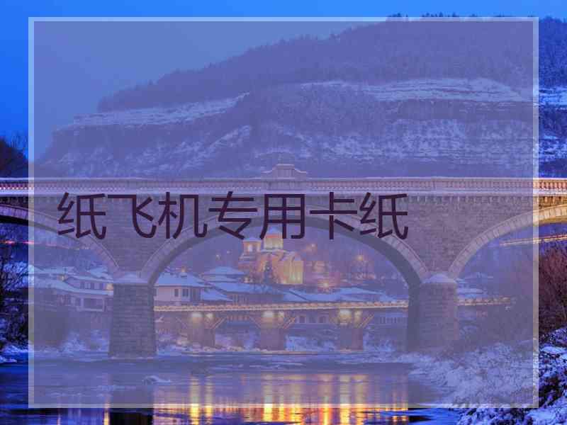 纸飞机专用卡纸
