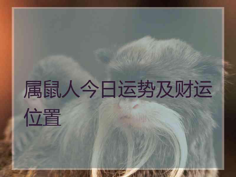 属鼠人今日运势及财运位置