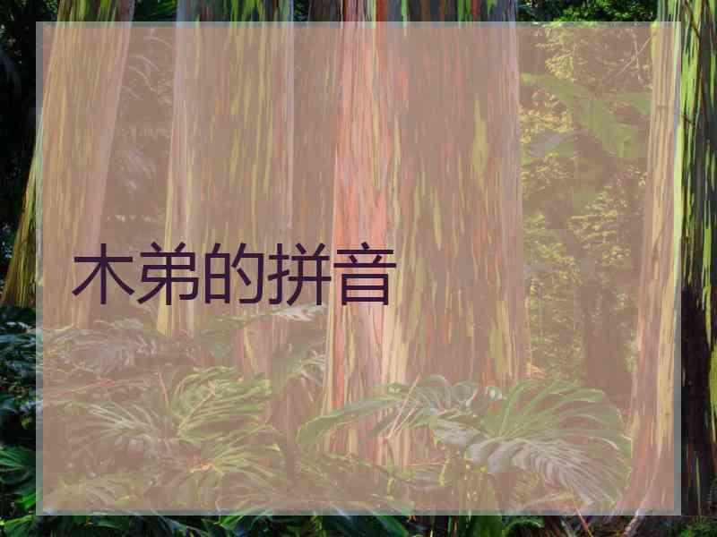 木弟的拼音