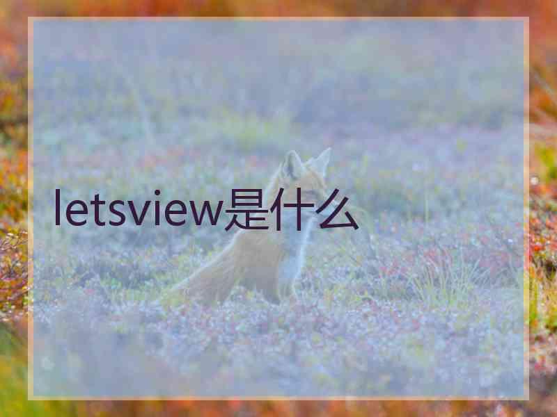 letsview是什么