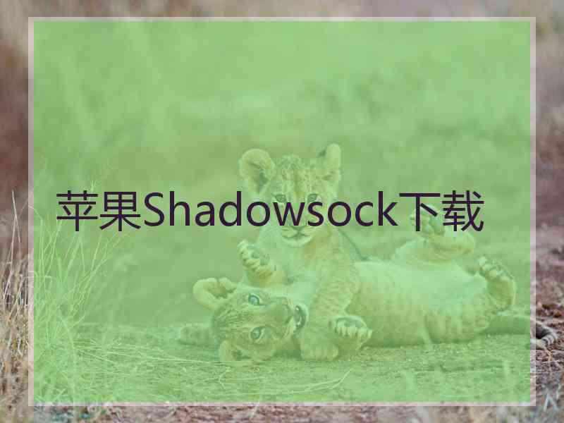 苹果Shadowsock下载