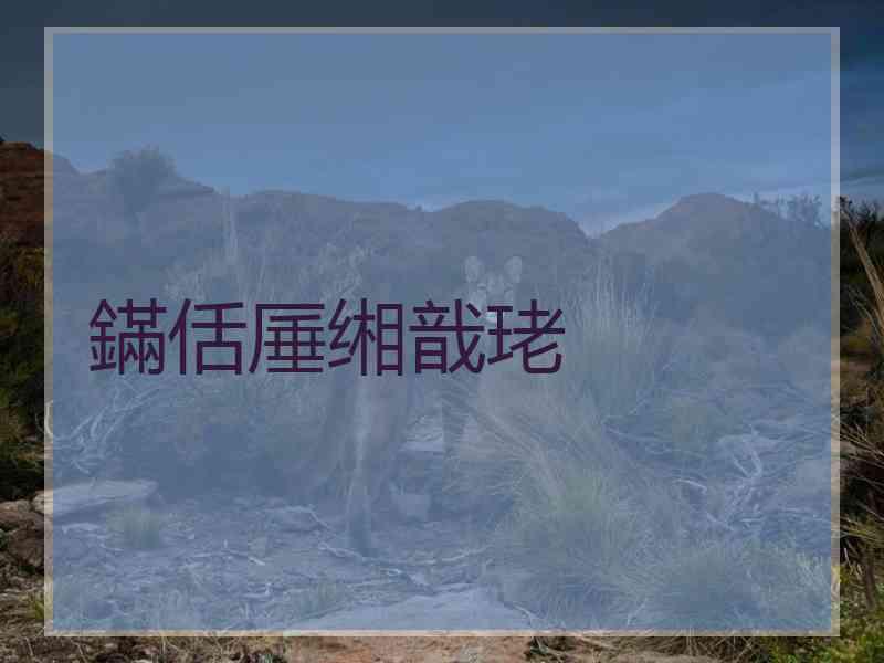 鏋佸厜缃戠珯