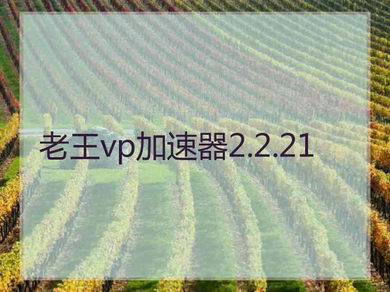 老王vp加速器2.2.21