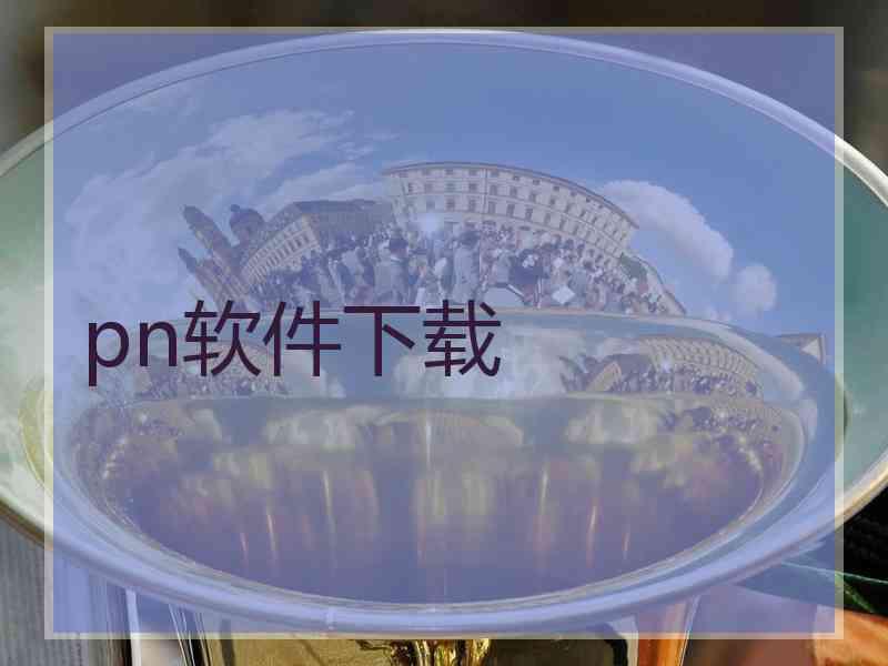 pn软件下载