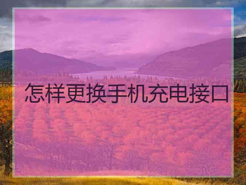 怎样更换手机充电接口