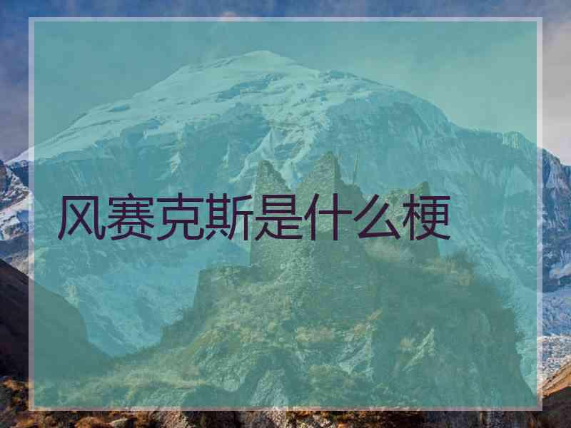 风赛克斯是什么梗