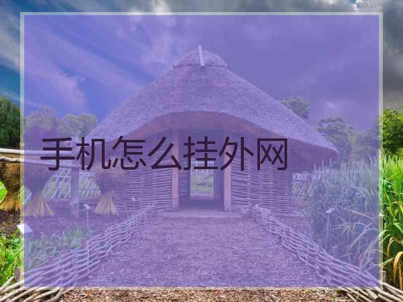 手机怎么挂外网