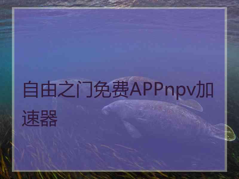 自由之门免费APPnpv加速器