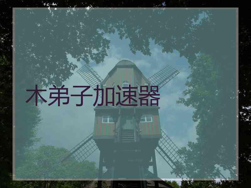 木弟子加速器
