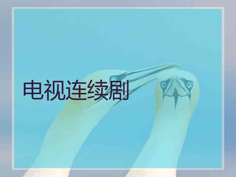 电视连续剧