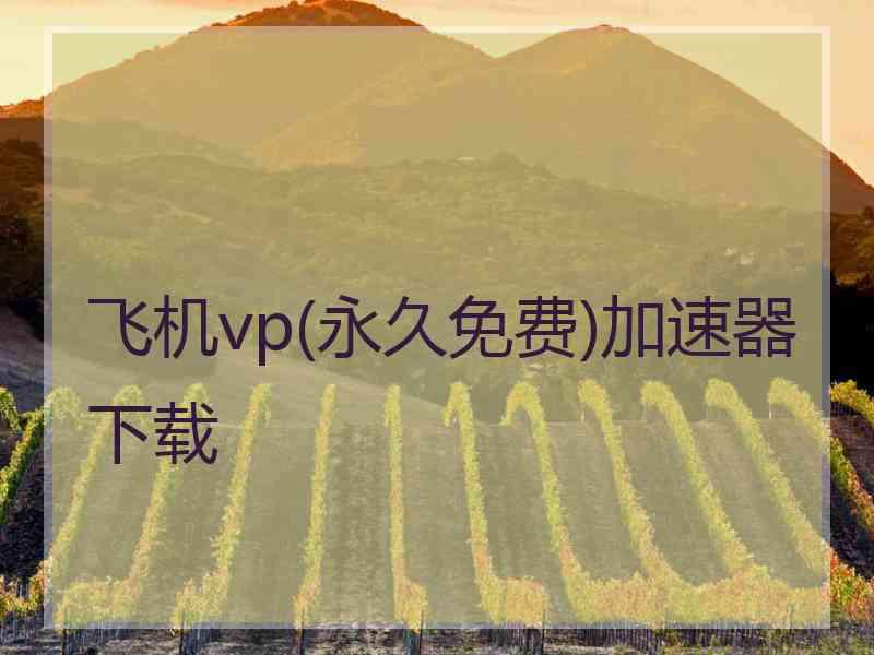 飞机vp(永久免费)加速器下载
