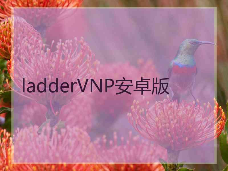 ladderVNP安卓版