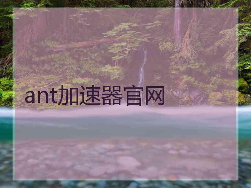 ant加速器官网