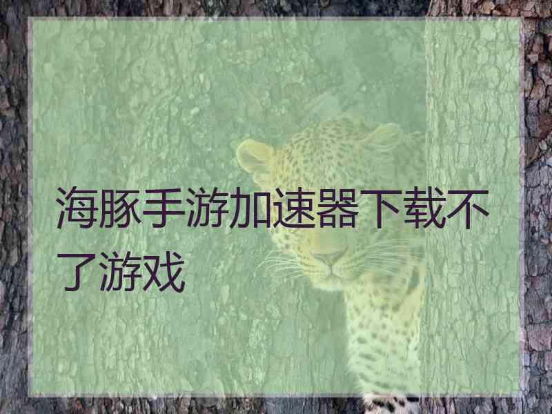 海豚手游加速器下载不了游戏