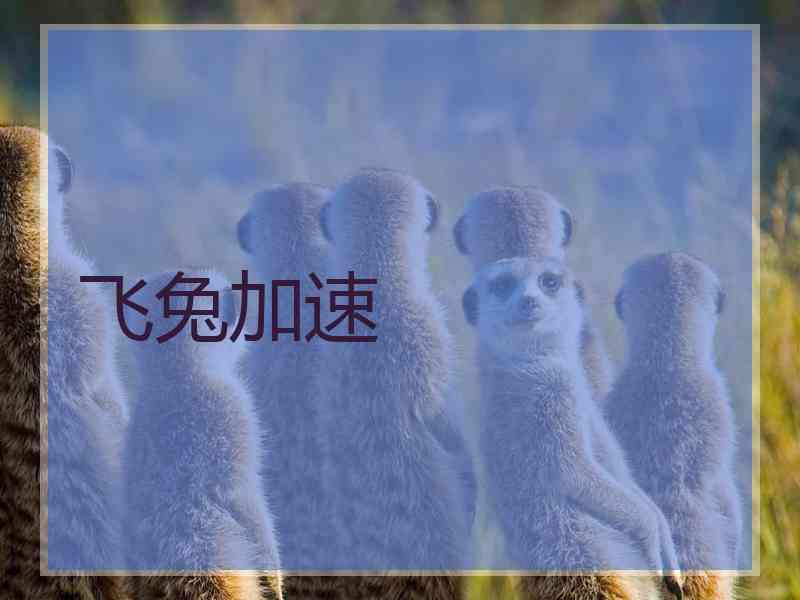 飞兔加速