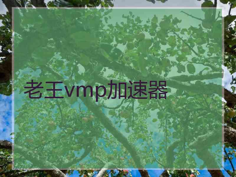 老王vmp加速器