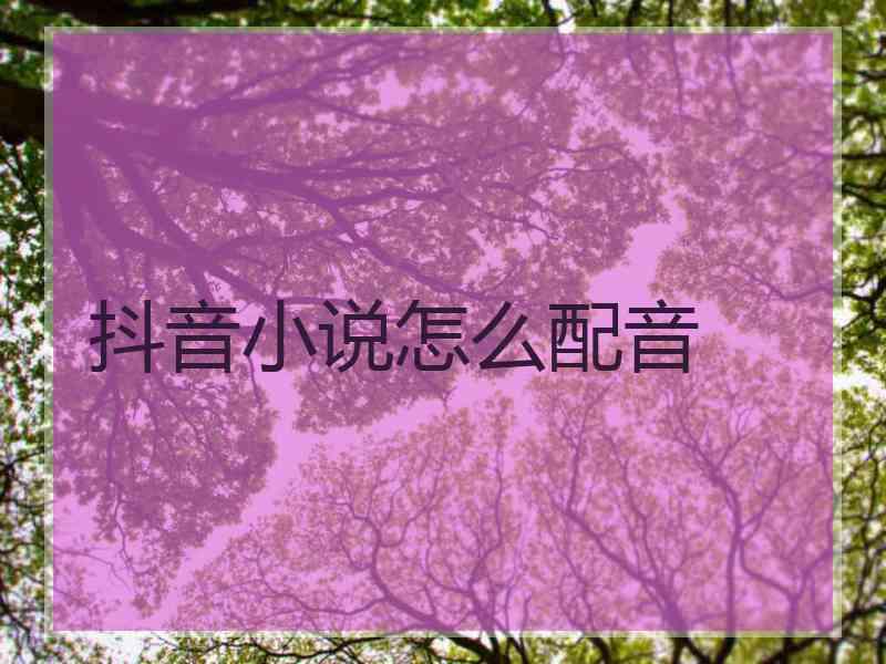 抖音小说怎么配音