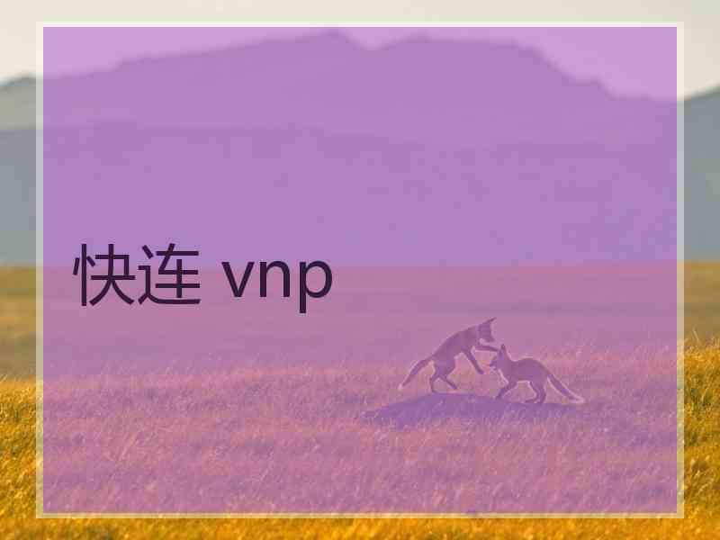 快连 vnp