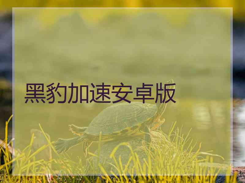黑豹加速安卓版