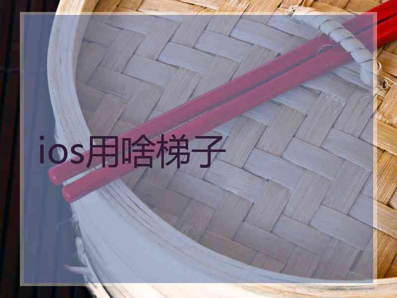 ios用啥梯子