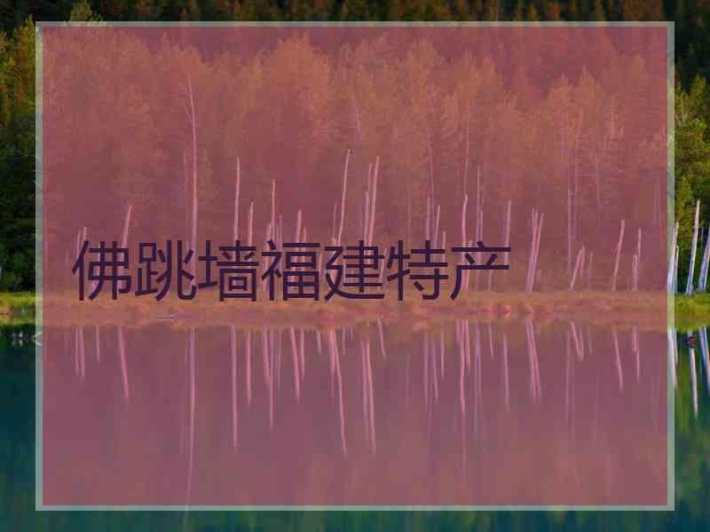 佛跳墙福建特产