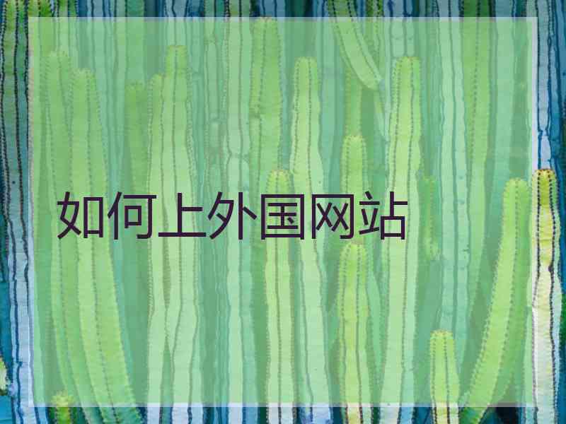 如何上外国网站