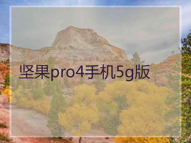 坚果pro4手机5g版